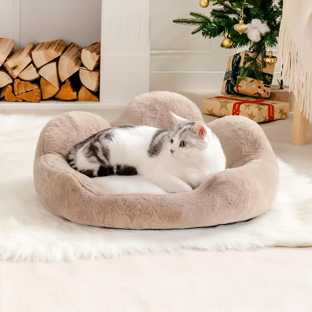 The Perfect Bed: Why Your Pet Deserves Better Sleep